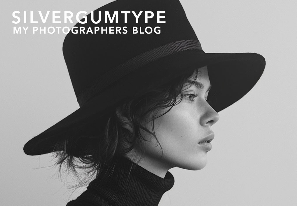 photographers blog - top photographers blog silvergumtype